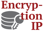 Encryption ip icon